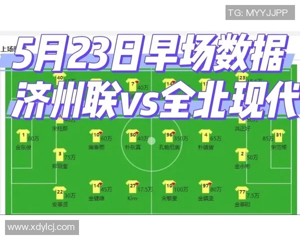 2017年济州联队对阵全北现代队精彩赛事回顾与战术分析 2017年济州联队对阵全北现代队精彩赛事回顾与战术分析